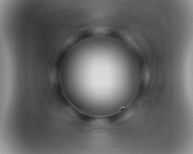 X0000113990619200910091339