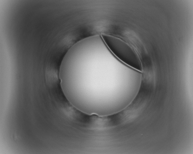 X0000113990621200910091339