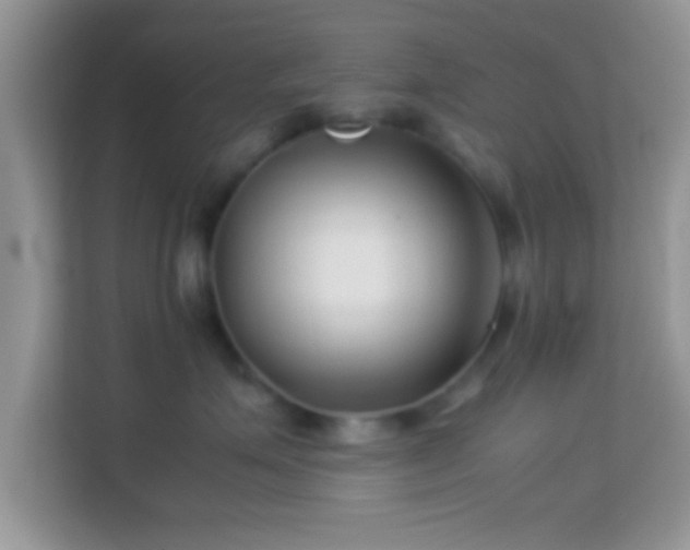 X0000113990623200910091339