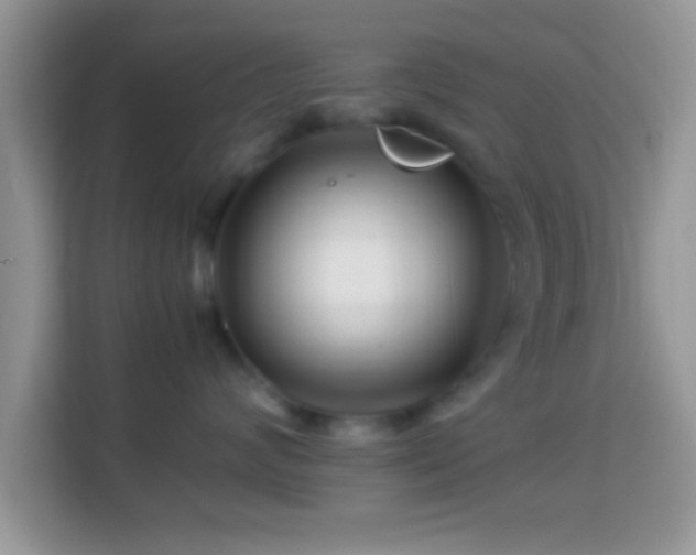 X0000113990624200910091339