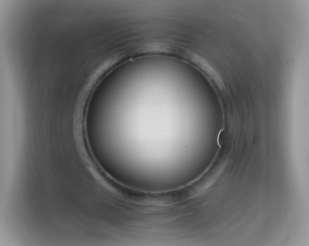 X0000113990625200910091339