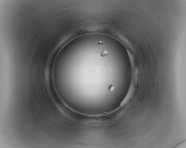 X0000113990626200910091339