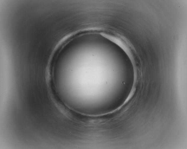 X0000113990628200910091339