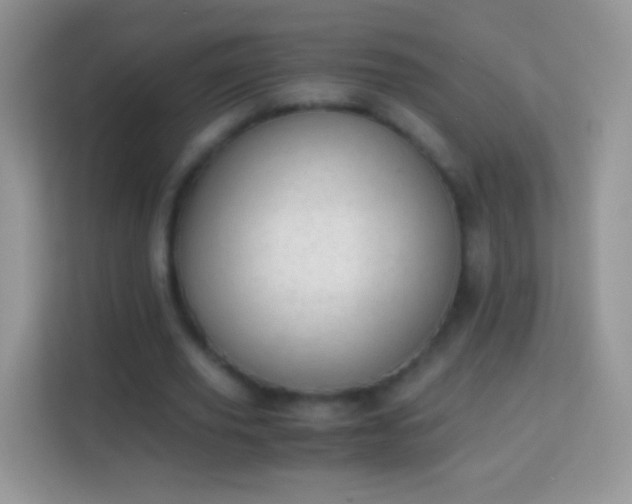 X0000113990629200910091339