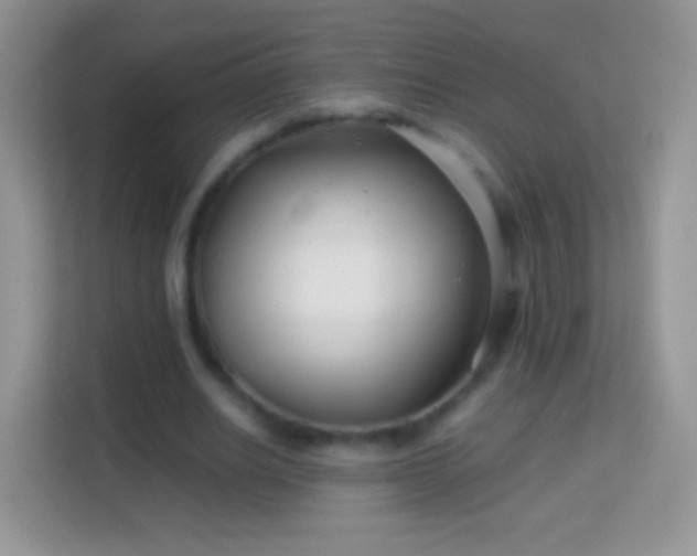 X0000113990630200910091339