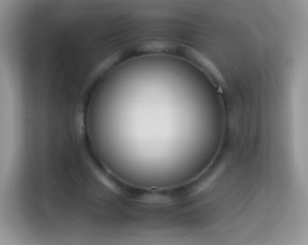 X0000113990633200910091339