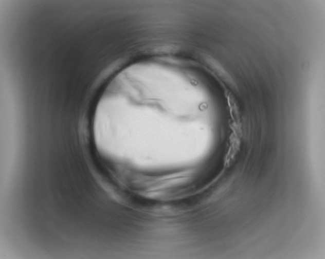 X0000113990634200910091339