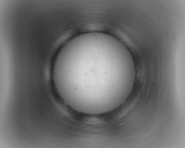 X0000113990635200910091339