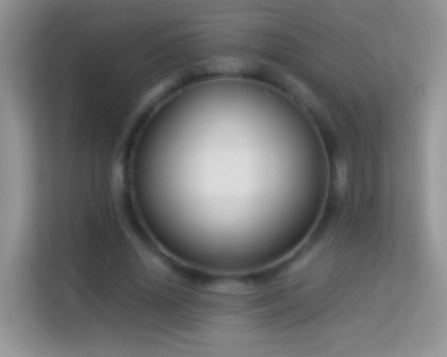 X0000113990636200910091339