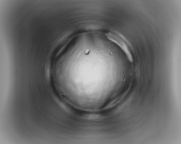 X0000113990637200910091339