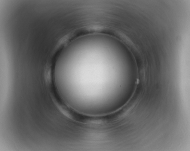 X0000113990638200910091339