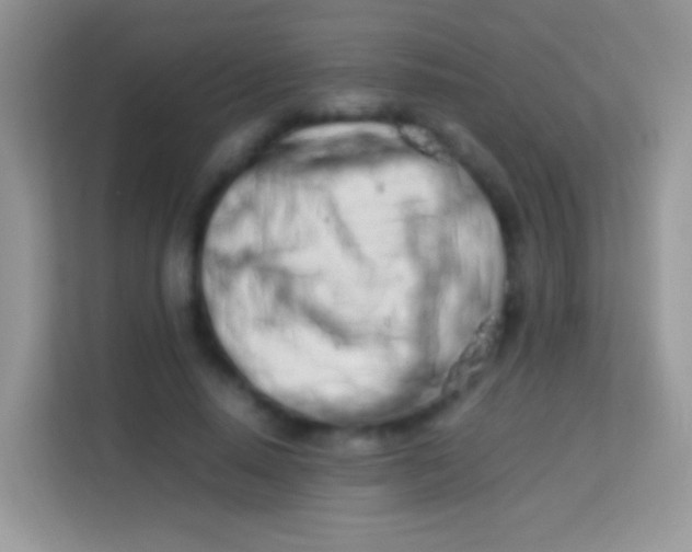 X0000113990640200910091339