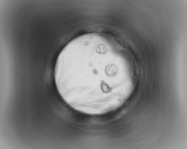 X0000113990641200910091339