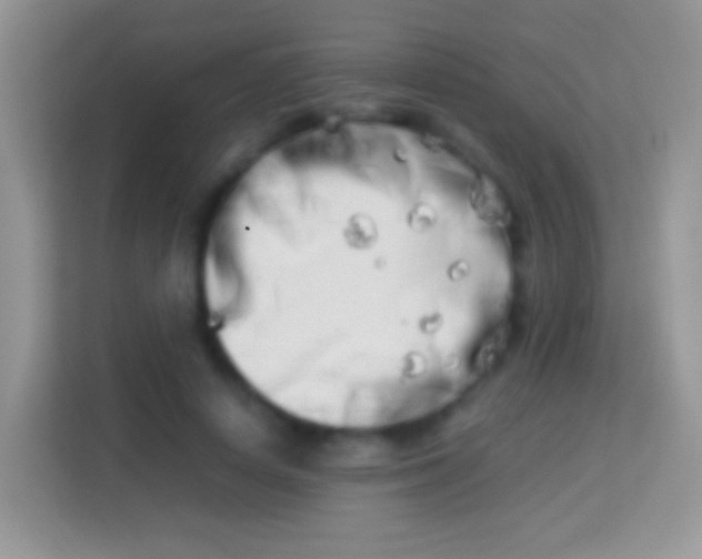 X0000113990642200910091339