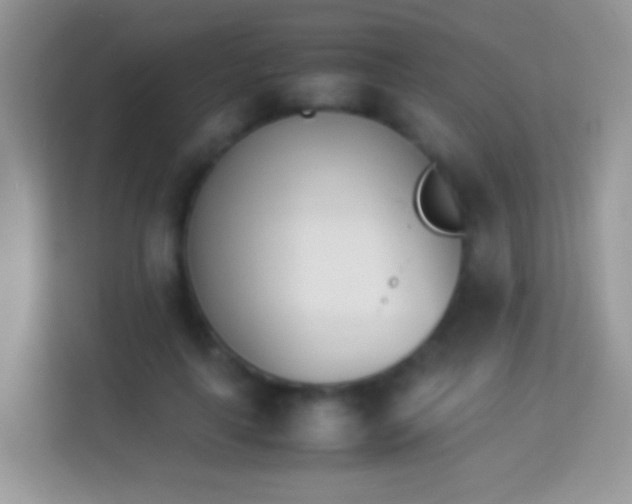 X0000113990643200910091339