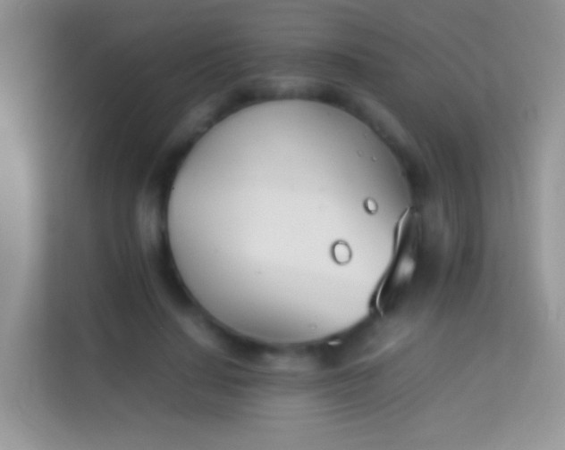 X0000113990644200910091339