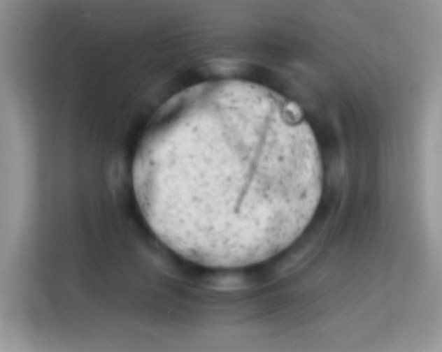 X0000113990651200910091339