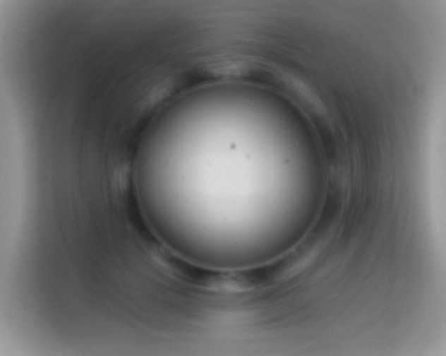 X0000113990652200910091339