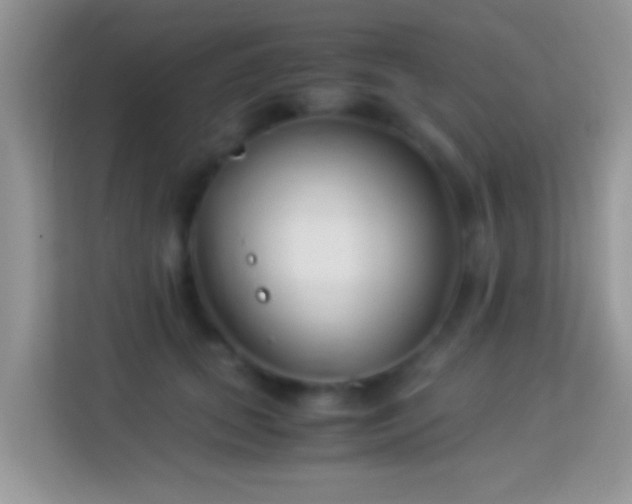 X0000113990655200910091339