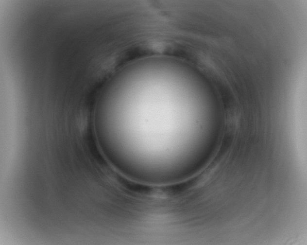 X0000113990656200910091339