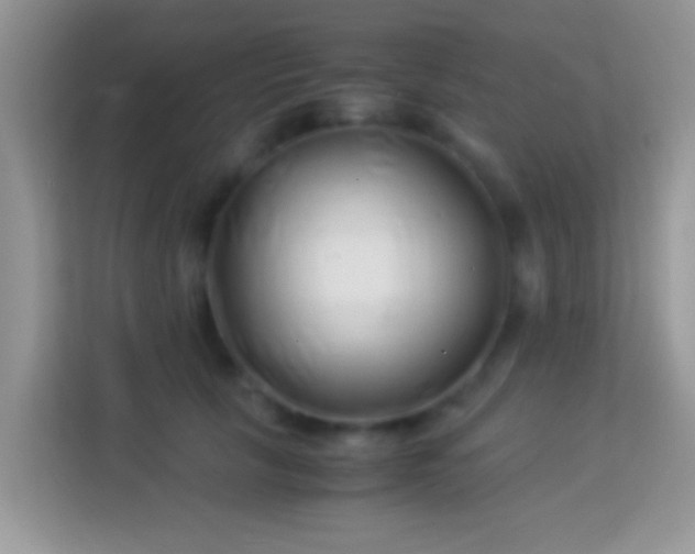 X0000113990657200910091339