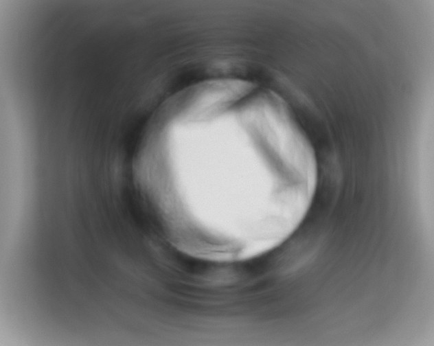 X0000113990659200910091339