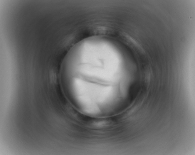 X0000113990661200910091339