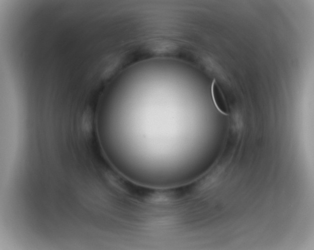 X0000113990664200910091339