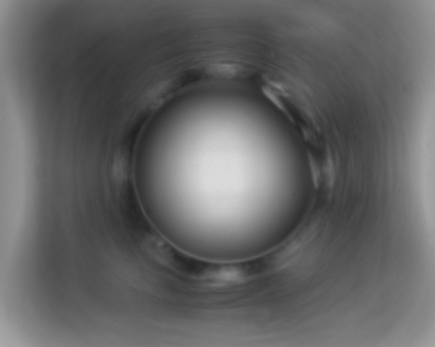 X0000113990665200910091339