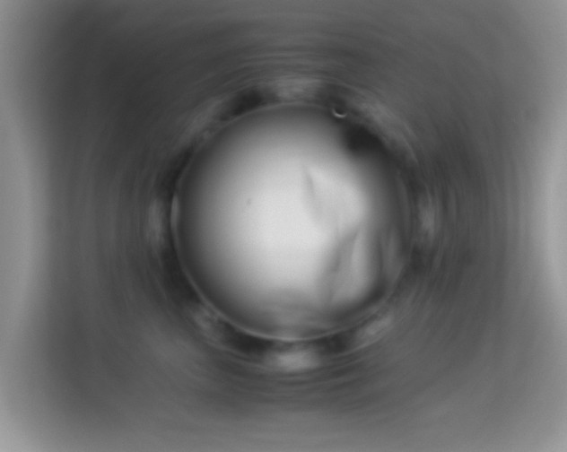 X0000113990667200910091339