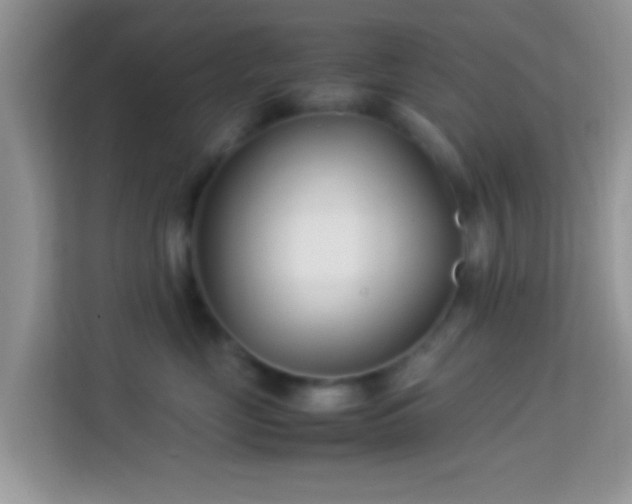 X0000113990669200910091339