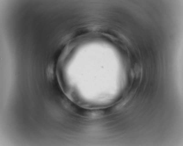 X0000113990670200910091339