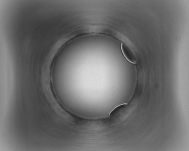 X0000113990673200910091339