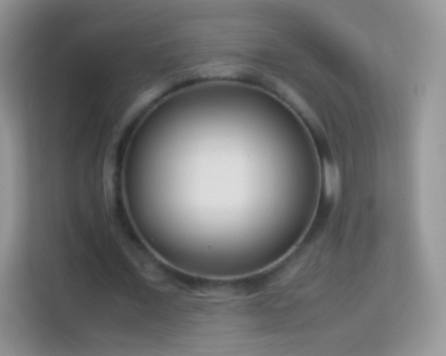 X0000113990675200910091339