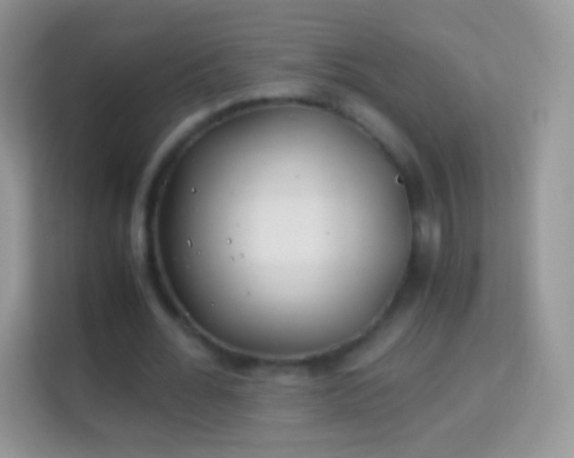 X0000113990676200910091339