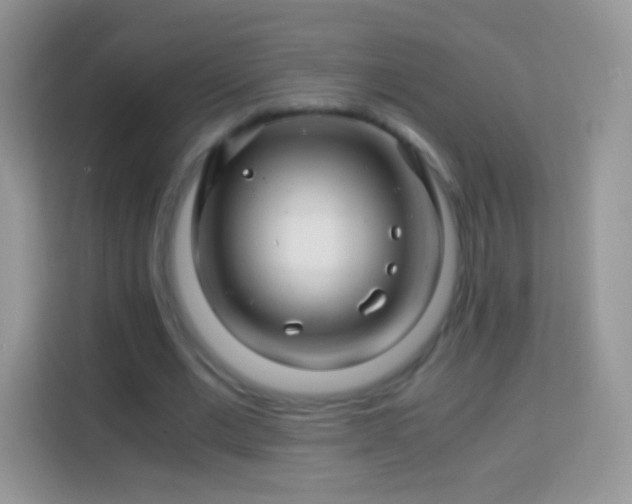 X0000113990677200910091339