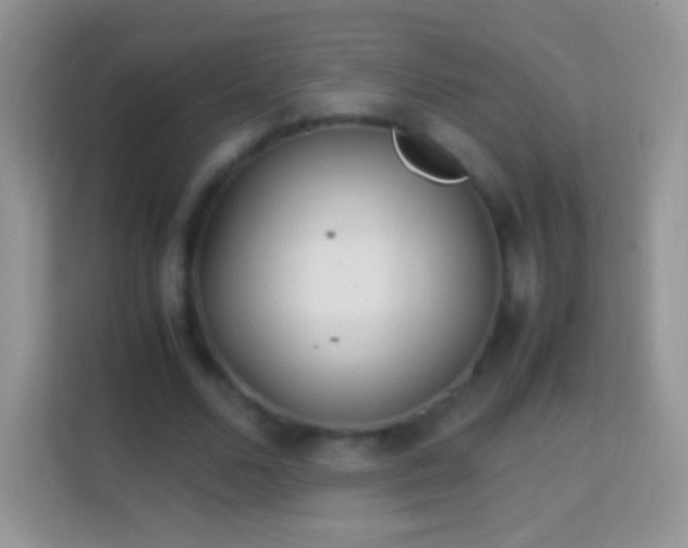 X0000113990680200910091339