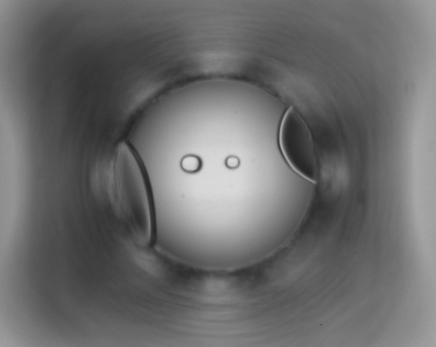 X0000113990684200910091339