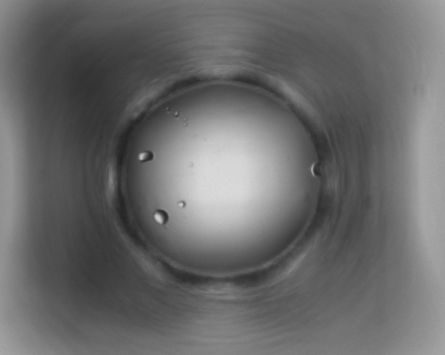 X0000113990685200910091339