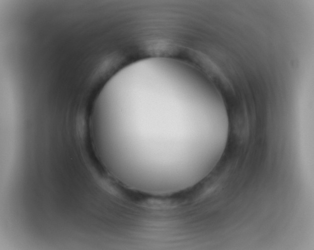 X0000113990690200910091338