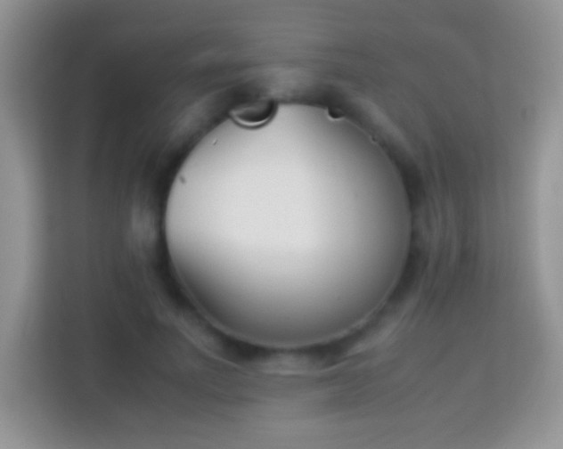 X0000113990691200910091338