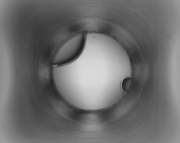 X0000113990692200910091338