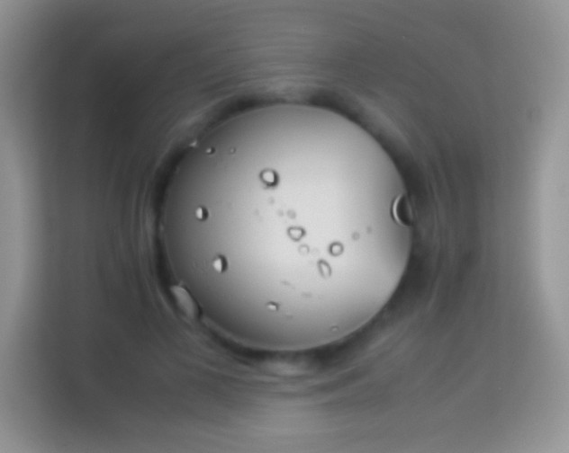 X0000113990693200910091338