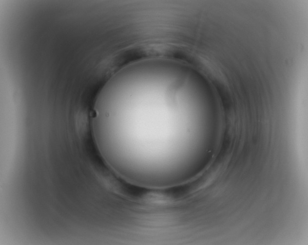 X0000113990699200910091338