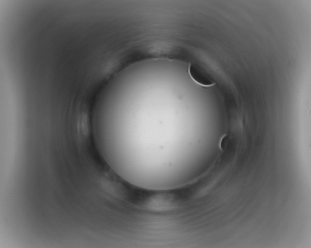 X0000113990700200910091338