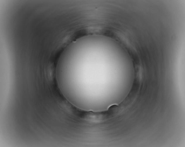 X0000113990712200910091338