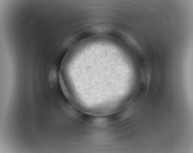 X0000113990718200910091338