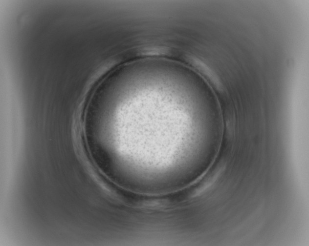 X0000113990721200910091337