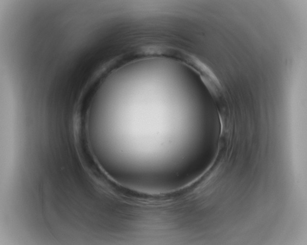 X0000113990722200910091337