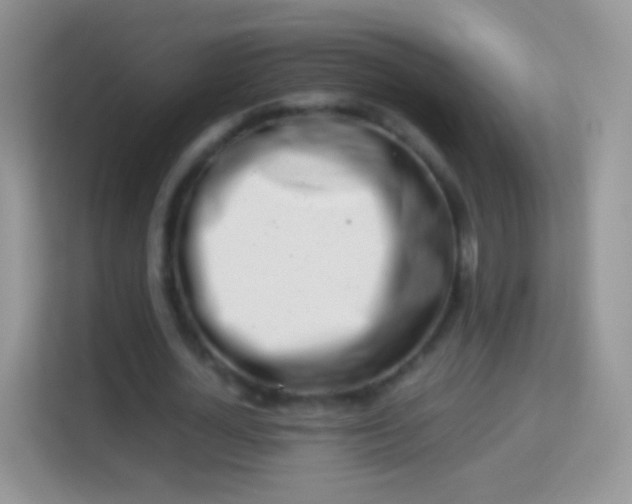 X0000113990724200910091337